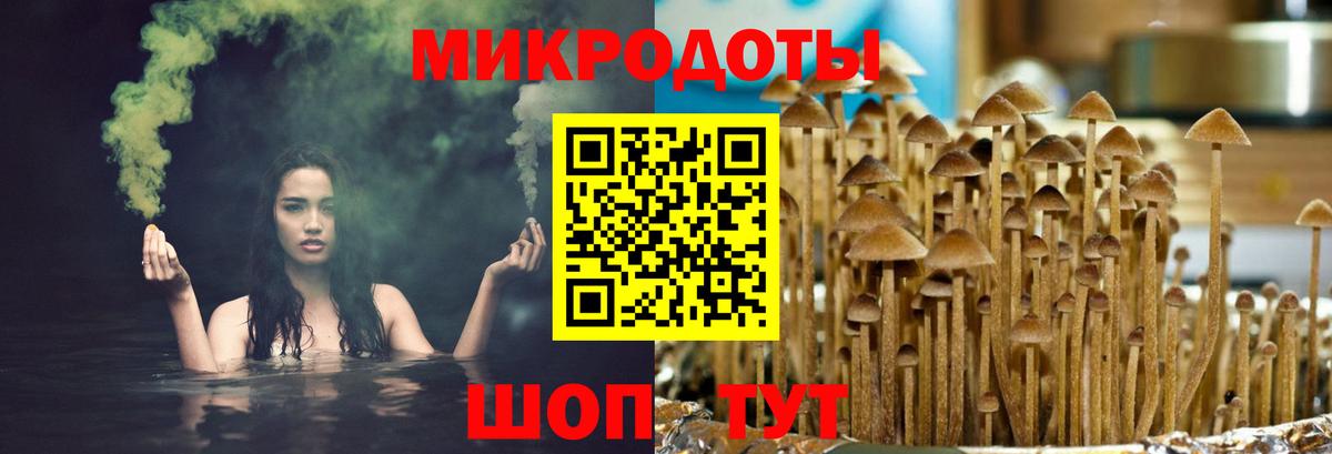Псилоцибиновые грибы ЛСД  Вход с VPN  Владивосток 